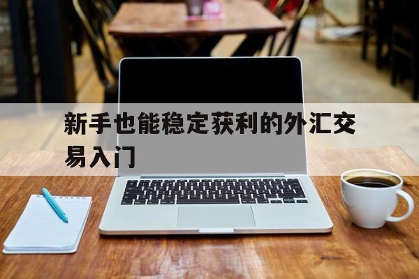 关于新手也能稳定获利的外汇交易入门的信息